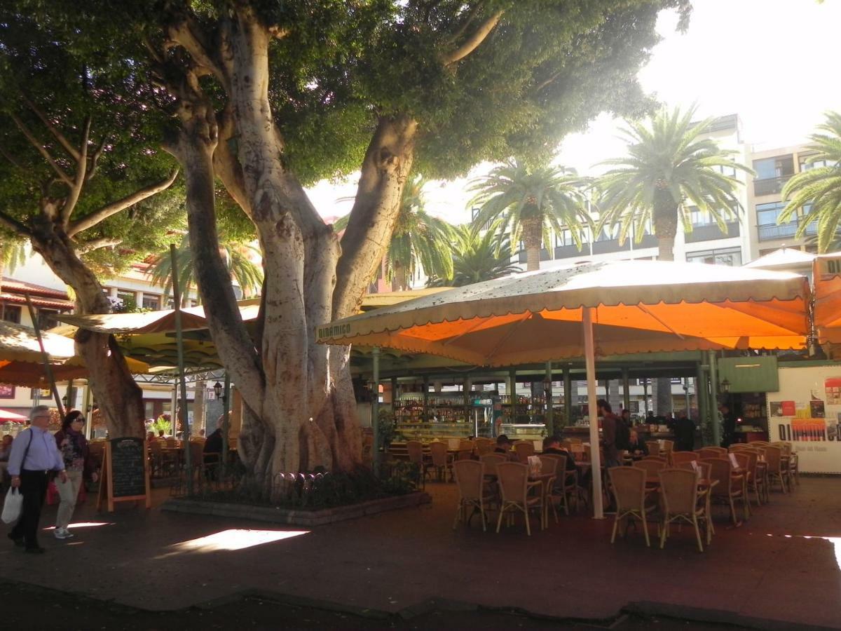 דירות The Fishing Harbour Puerto De La Cruz מראה חיצוני תמונה